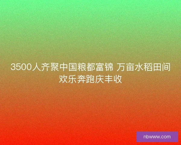 3500人齐聚中国粮都富锦 万亩水稻田间欢乐奔跑庆丰收