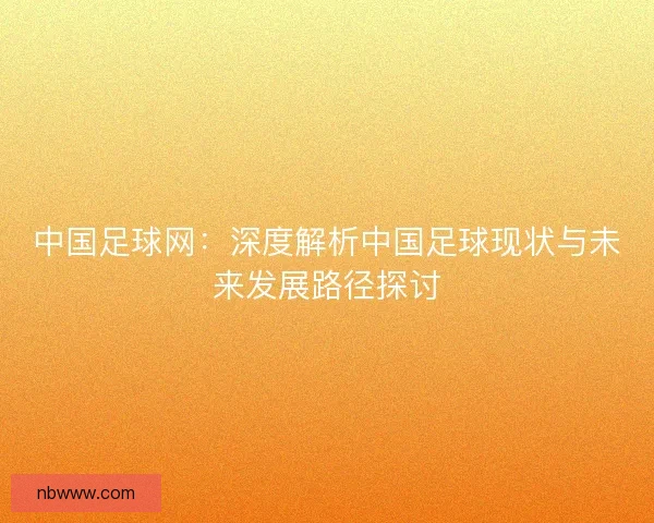 中国足球网：深度解析中国足球现状与未来发展路径探讨
